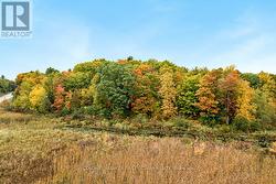 Private 2.5 acre oasis -