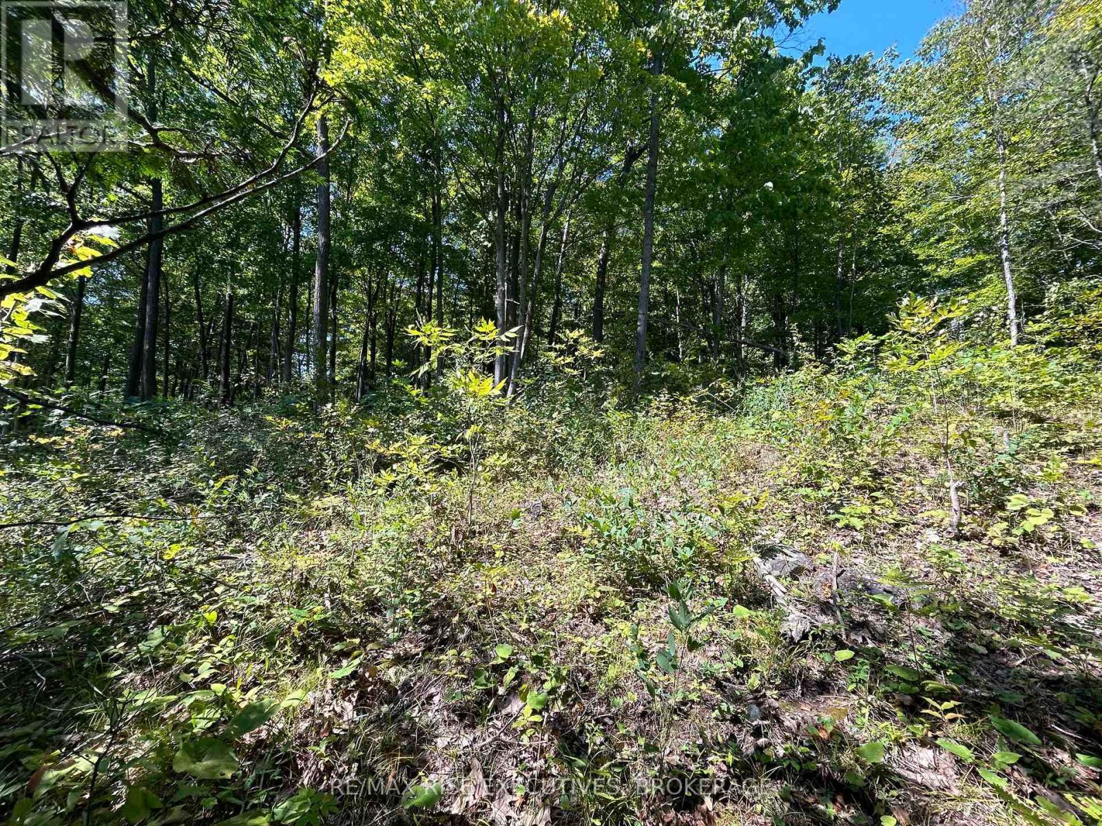 341 Steve Babcock Lane, Frontenac (Frontenac South), ON