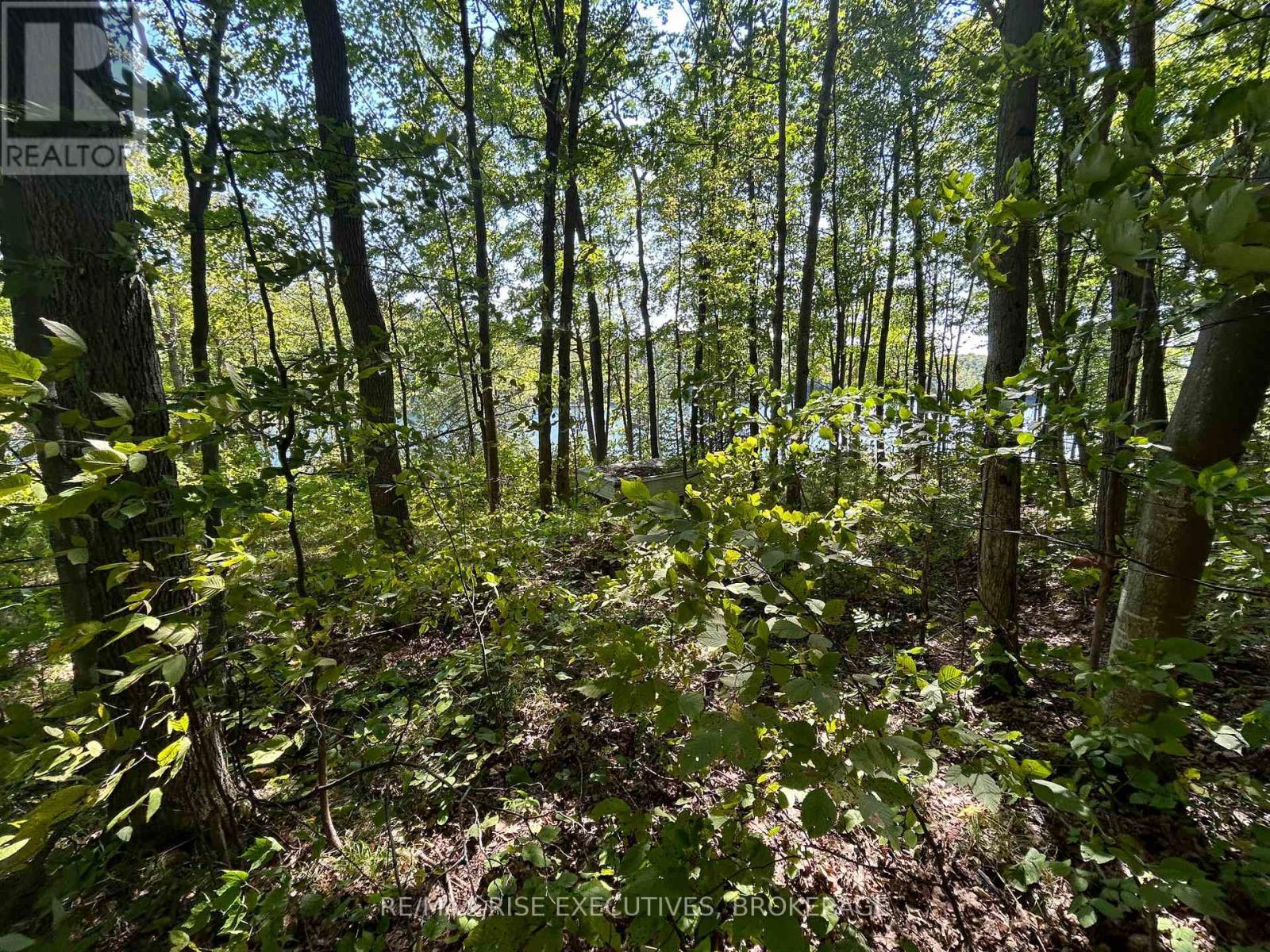 341 Steve Babcock Lane, Frontenac (Frontenac South), ON