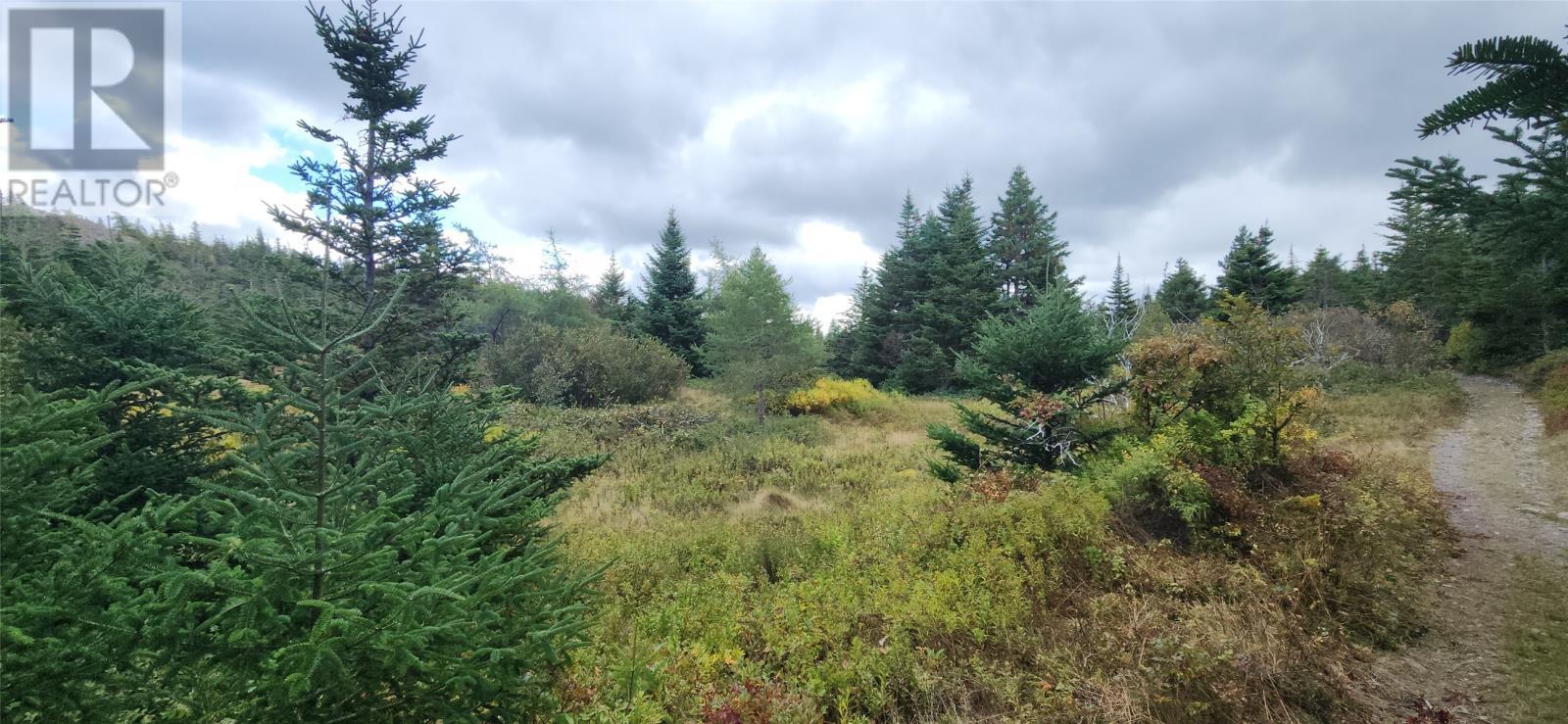 101-121 Holdens Road, Harbour Main, NL