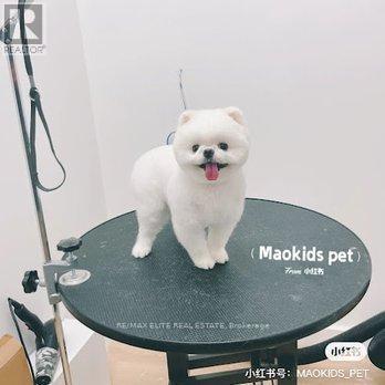 133 Mcmahon Drive, Toronto, ON