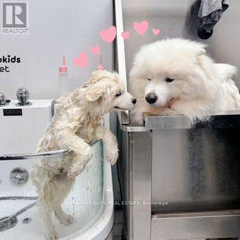 133 Mcmahon Drive, Toronto, ON