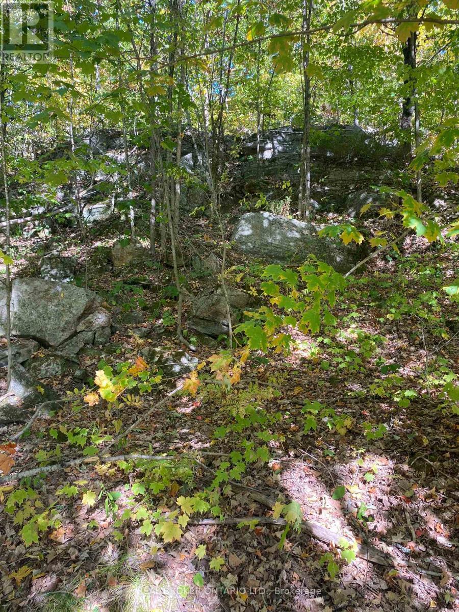 1248 Beiers Road, Gravenhurst (Morrison), ON