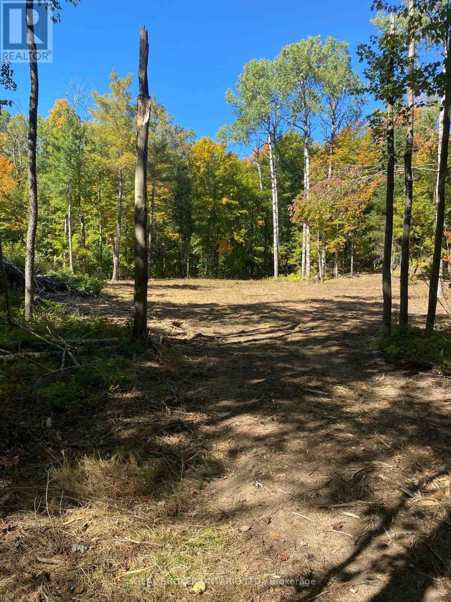 1248 Beiers Road, Gravenhurst (Morrison), ON