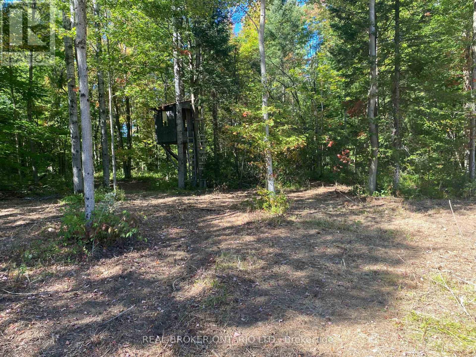 1248 Beiers Road, Gravenhurst (Morrison), ON