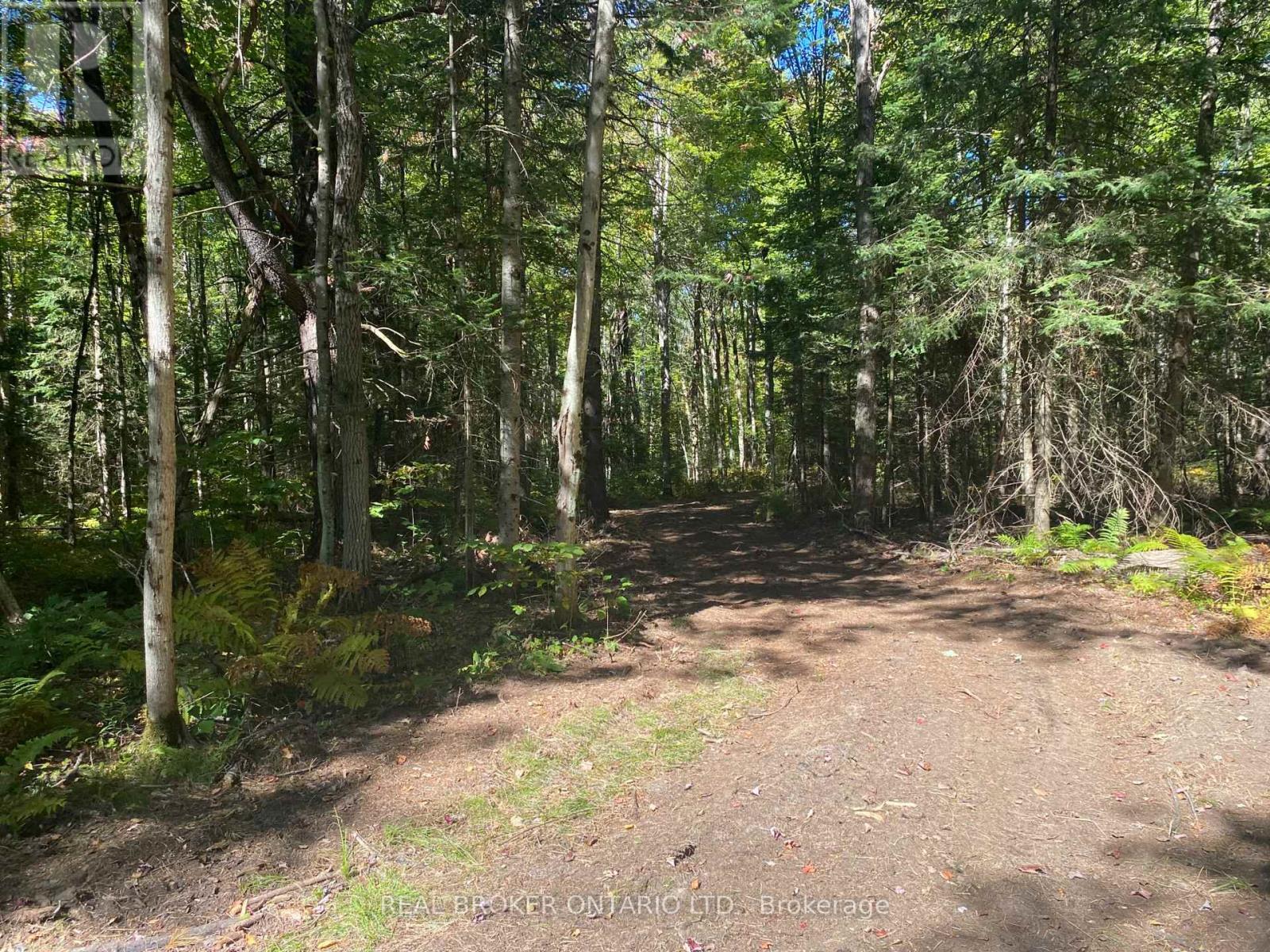 1248 Beiers Road, Gravenhurst (Morrison), ON