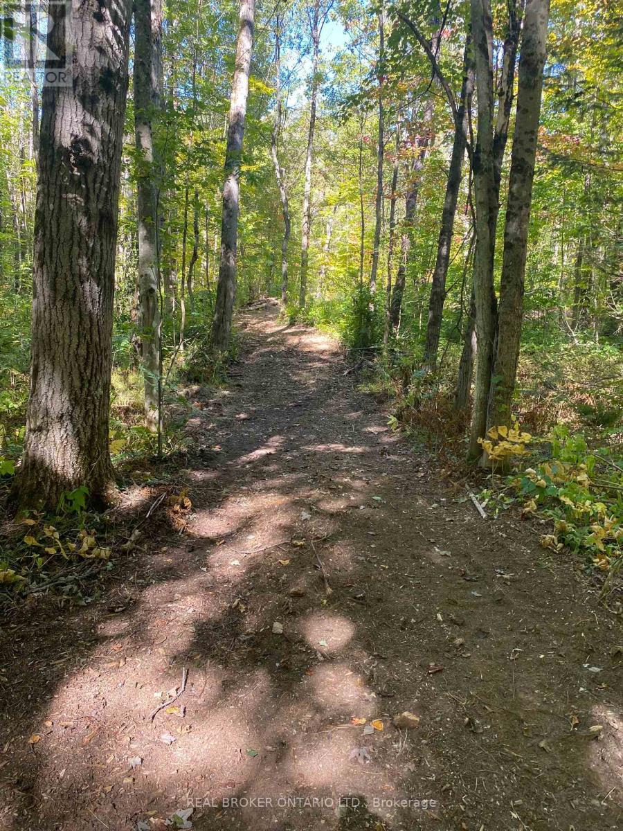 1248 Beiers Road, Gravenhurst (Morrison), ON