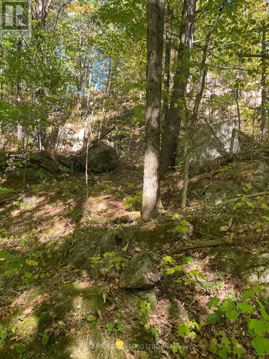 1248 Beiers Road, Gravenhurst (Morrison), ON