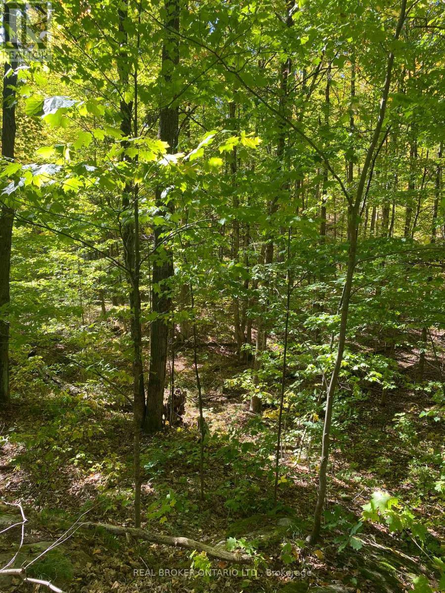 1248 Beiers Road, Gravenhurst (Morrison), ON