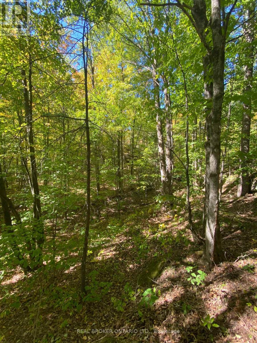 1248 Beiers Road, Gravenhurst (Morrison), ON