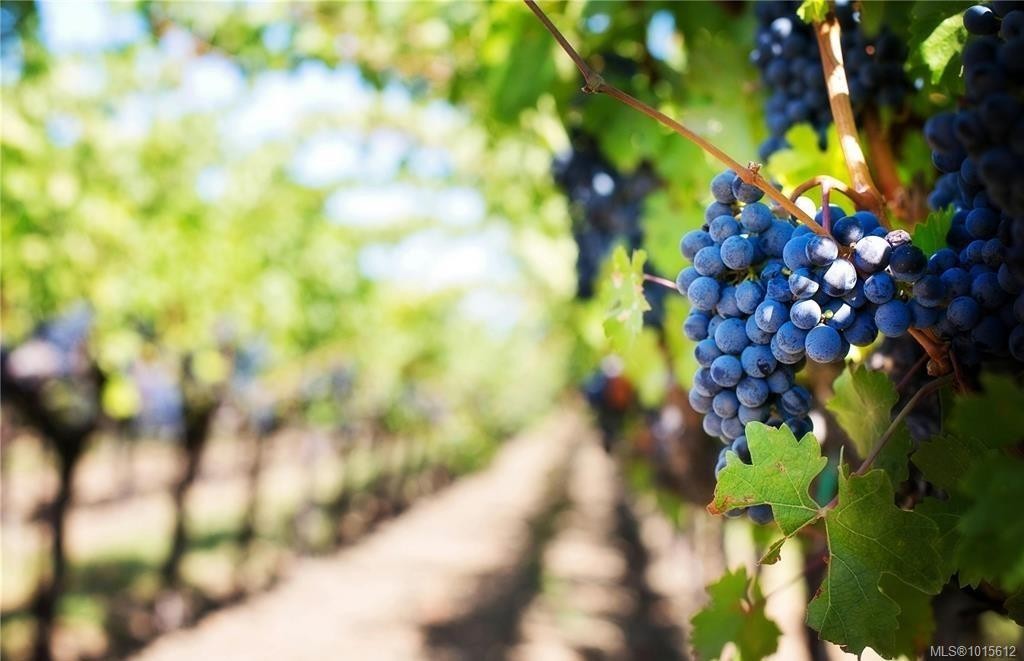 7072 Central Saanich Rd, Central Saanich, BC