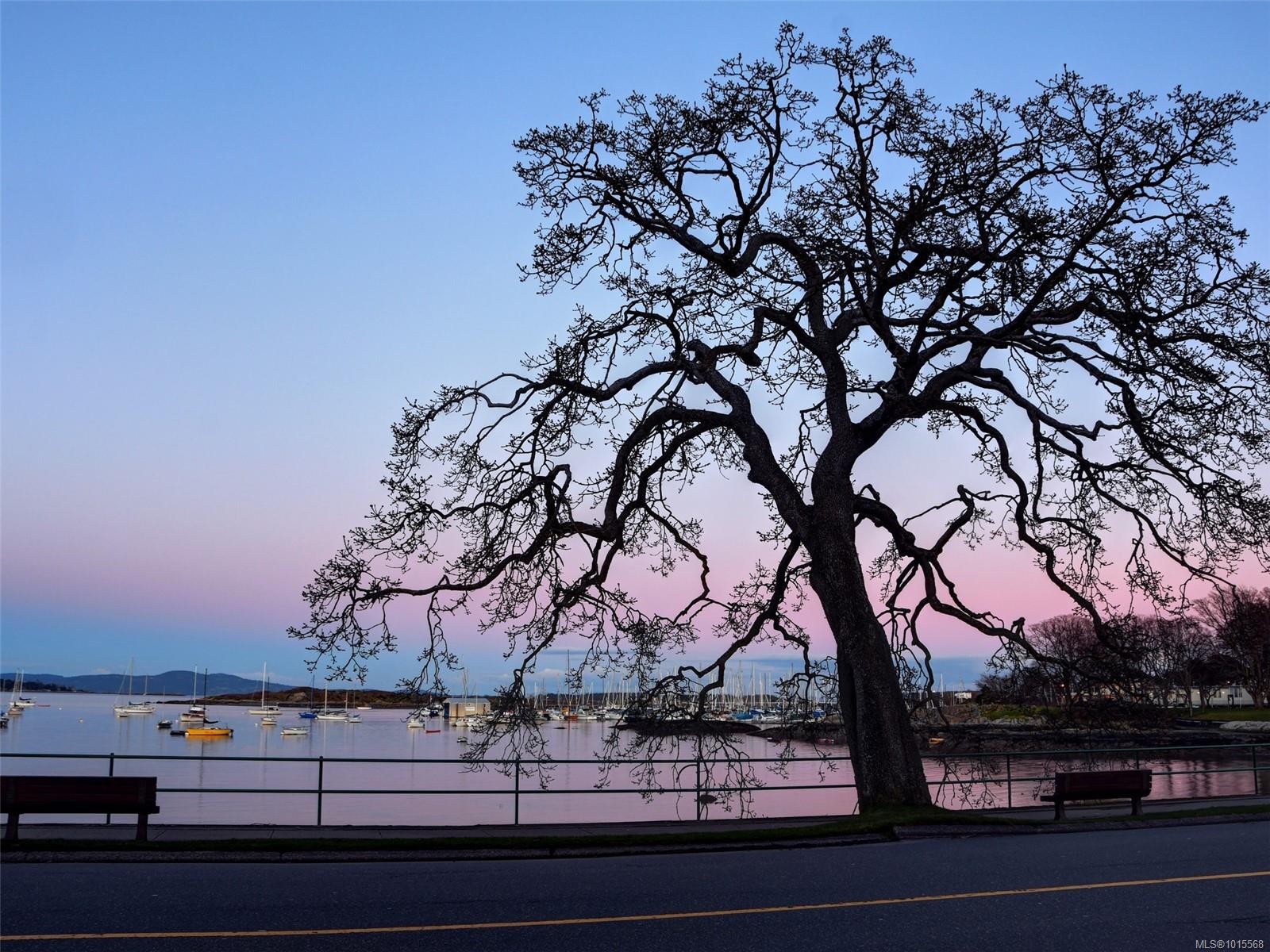 105-2100 Granite St, Oak Bay, BC - Outdoor With View