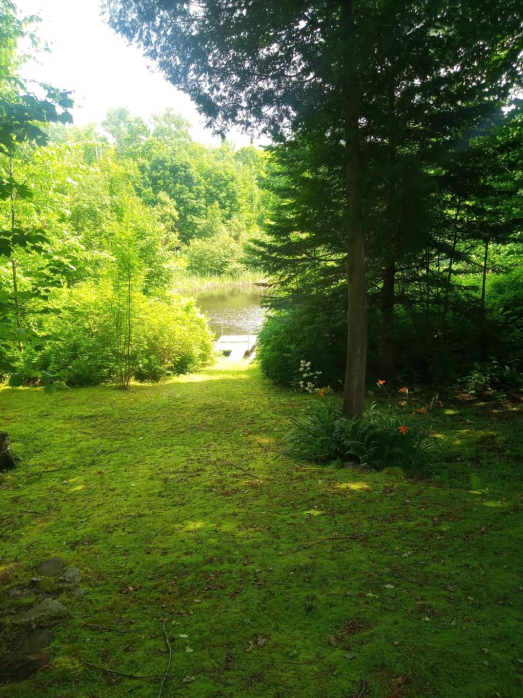 Accès au plan d'eau - 291 Ch. De La Coureuse, Saint-Mathieu-Du-Parc, QC - Outdoor