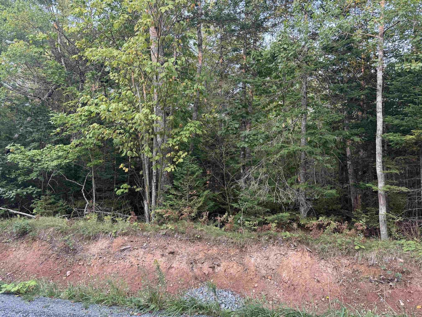 Lot 3 Burgess Road, Gore, NS