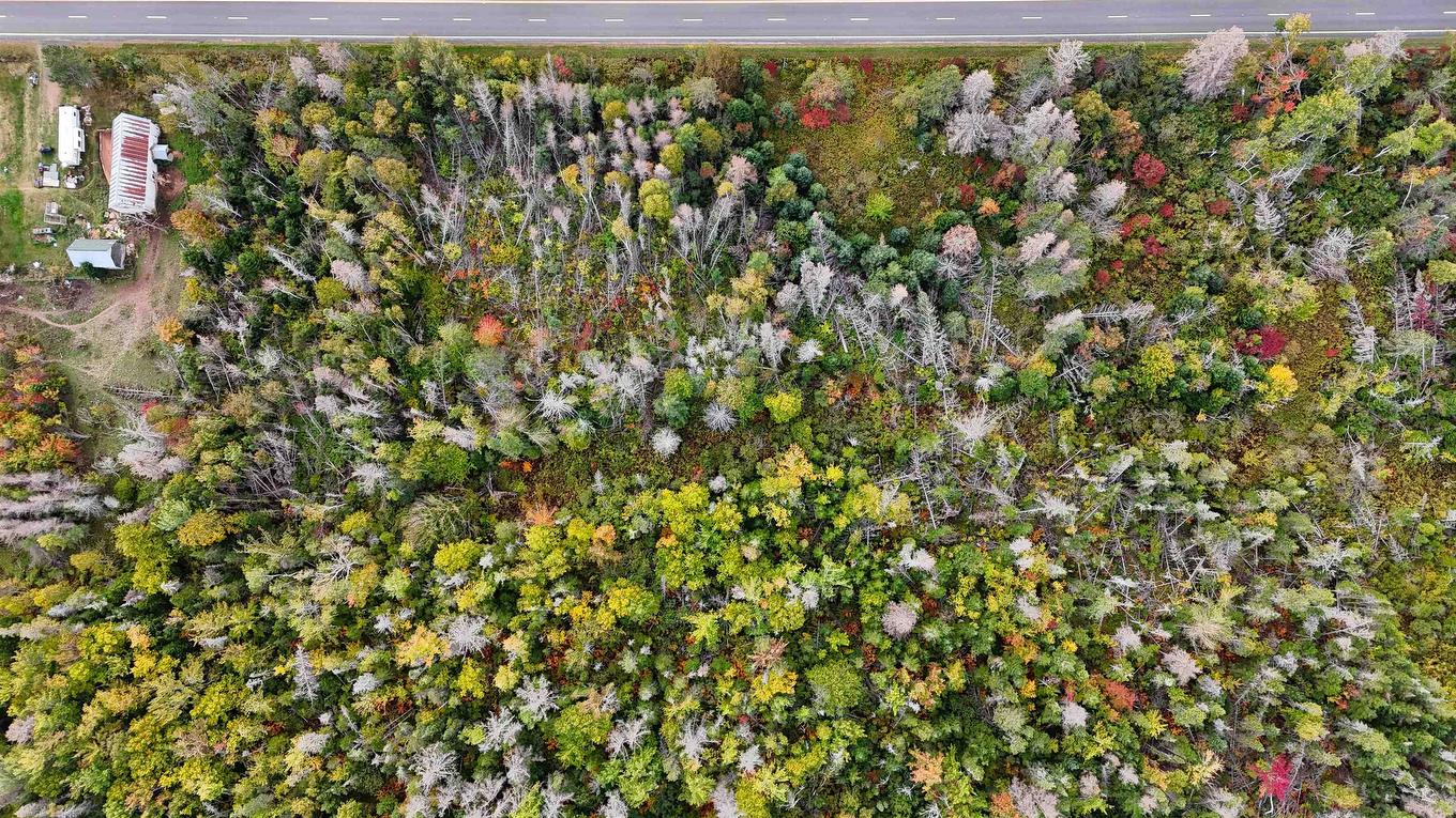 Lot Trans Canada Highway, Wood Islands, PE