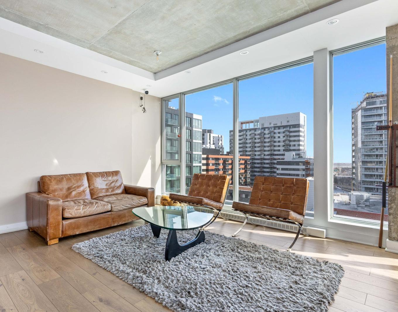Salle communautaire - 202-190 Rue Murray, Montréal (Le Sud-Ouest), QC - Indoor Photo Showing Living Room