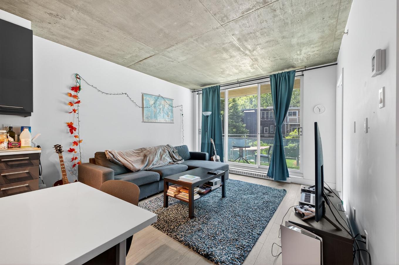 Salon - 202-190 Rue Murray, Montréal (Le Sud-Ouest), QC - Indoor Photo Showing Living Room