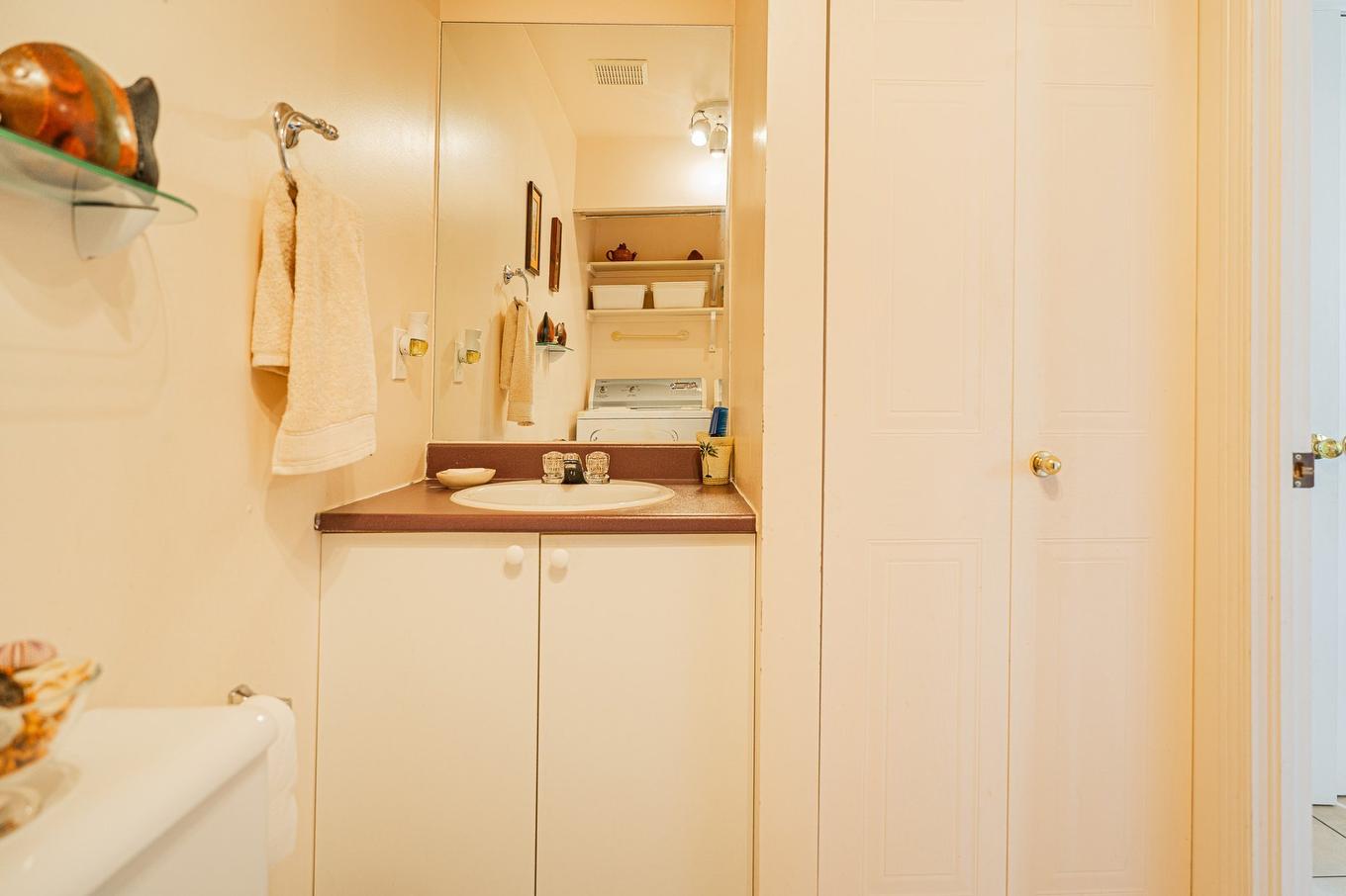 Powder room - 3940 Rue Ovide, Brossard, QC - Indoor Photo Showing Bathroom