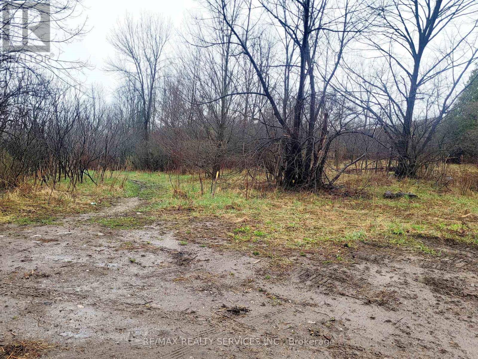 269 Whitfield Crescent, Midland, ON