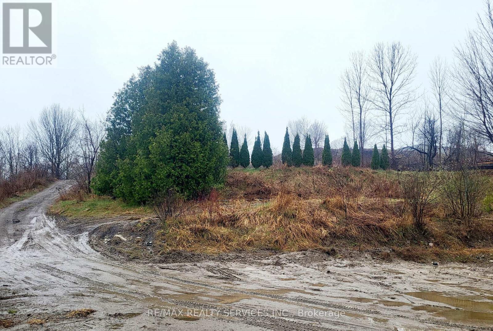 269 Whitfield Crescent, Midland, ON