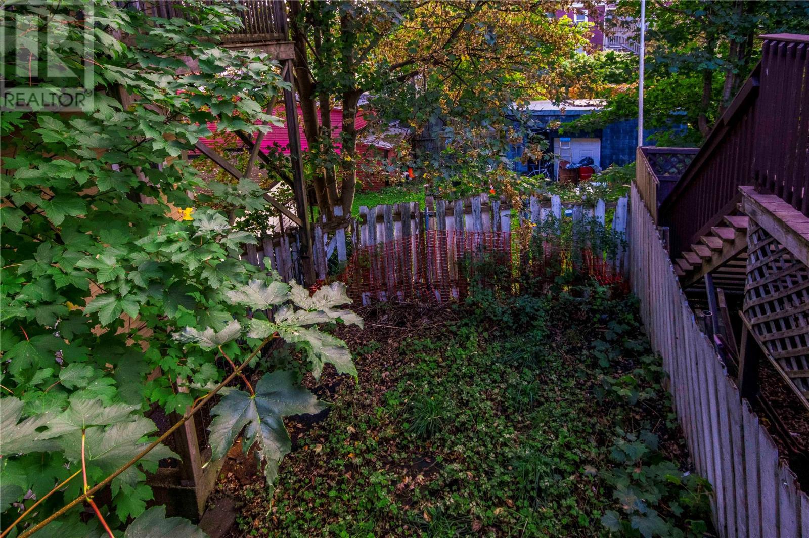 5 Balsam Street, St John'S, NL - Outdoor