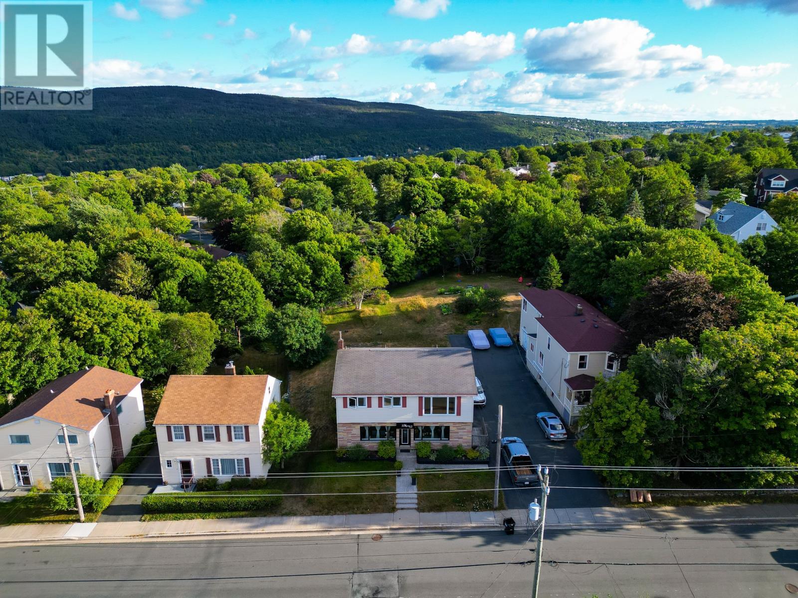 393 Hamilton Ave Extension, St. John'S, NL