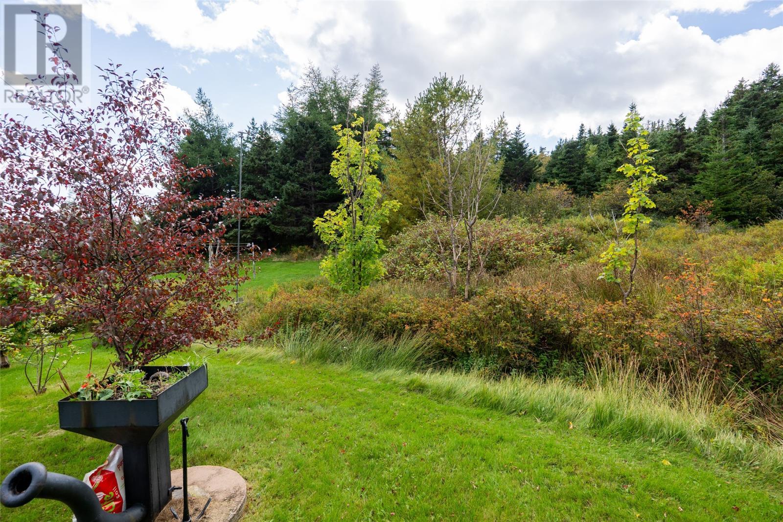 217-227 Conception Bay Highway, Avondale, NL - Outdoor