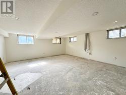 Finished Basement Family Room w/ Gas Fireplace -