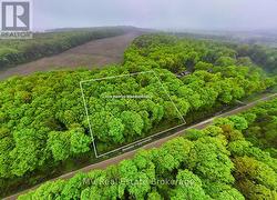 PT LT 6 BASELINE ROAD Grey Highlands, ON N0C 1H0