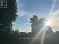 Beautiful mature trees, backing onto farmland -