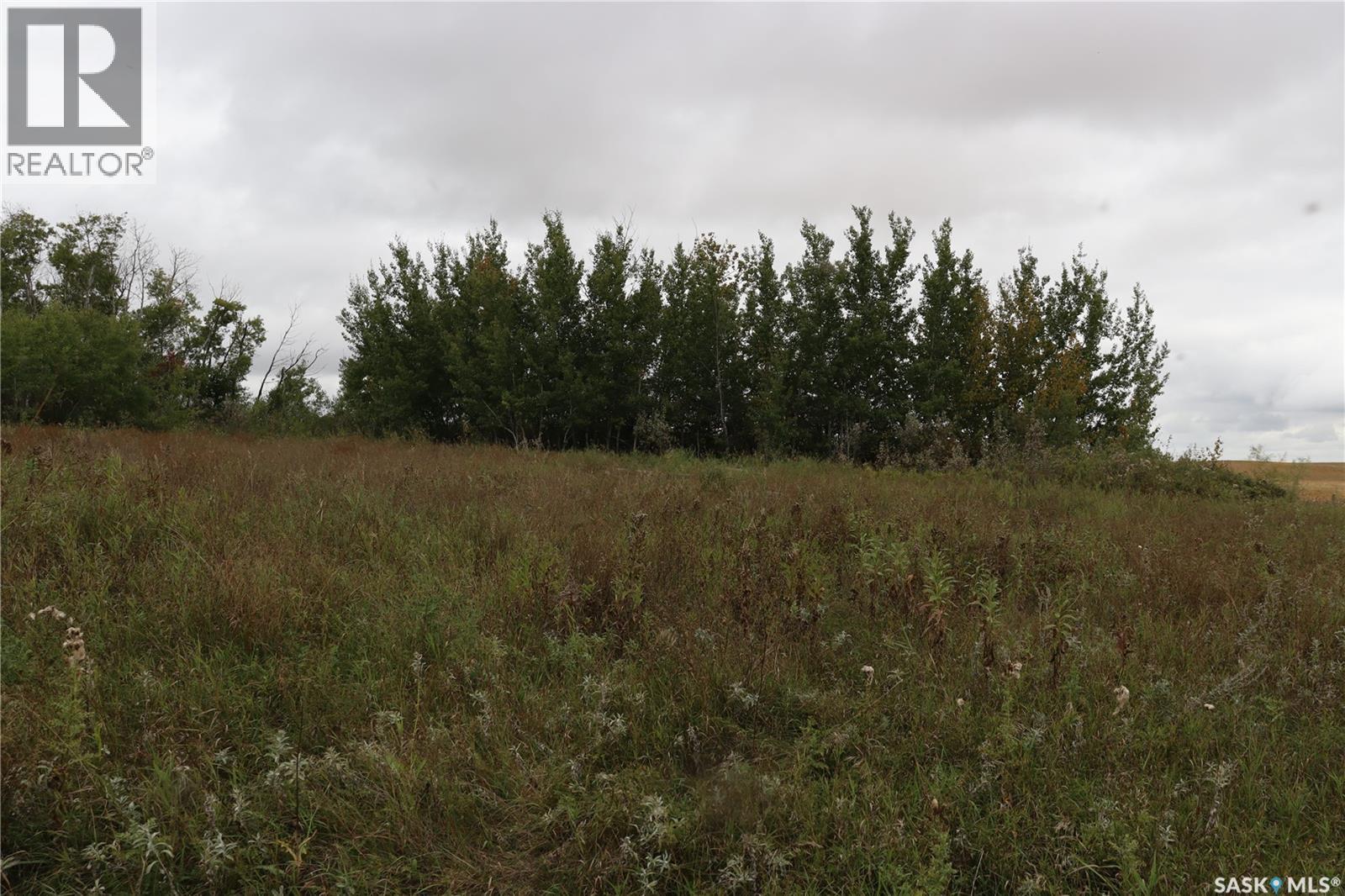 10 Acres Red Deer Hill, Prince Albert Rm No. 461, SK