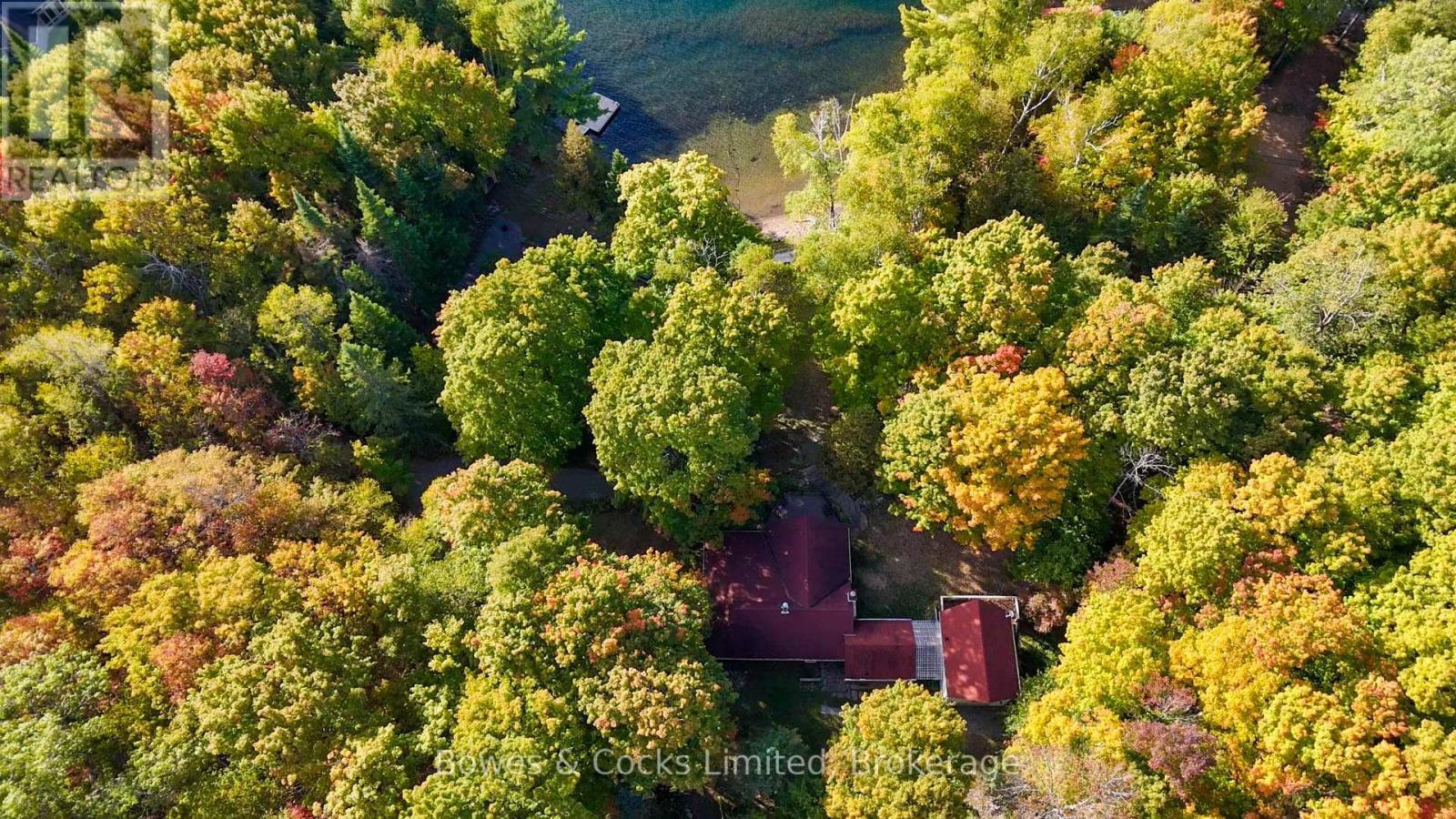 Beautiful Mature Lot - 408 Couchs Road, North Kawartha, ON - Outdoor With View