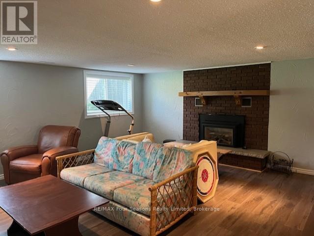 family room lower - 286 Sixth Street, Collingwood, ON - Indoor Photo Showing Living Room With Fireplace