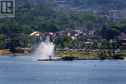 Viewable from your Suite with Binoculars -