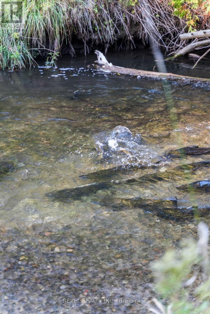 Salmon & Trout Fishing - 572 6Th Line, Port Hope, ON - Outdoor With Body Of Water With View
