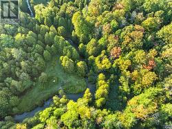 River through the property -