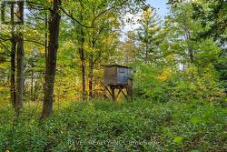 Raised Hunting Blinds -