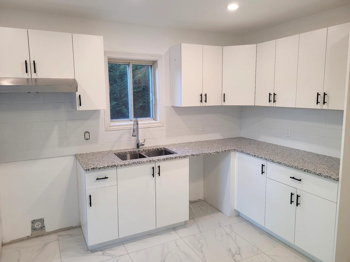 Kitchen - 1945 - 1949 Rue De Beaurivage, Montréal (Mercier/Hochelaga-Maisonneuve), QC - Indoor Photo Showing Kitchen With Double Sink