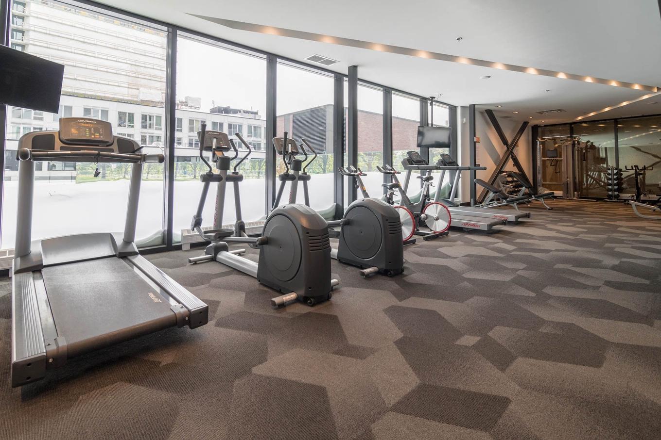 Salle d'exercice - 1201-235 Rue Peel, Montréal (Le Sud-Ouest), QC - Indoor Photo Showing Gym Room