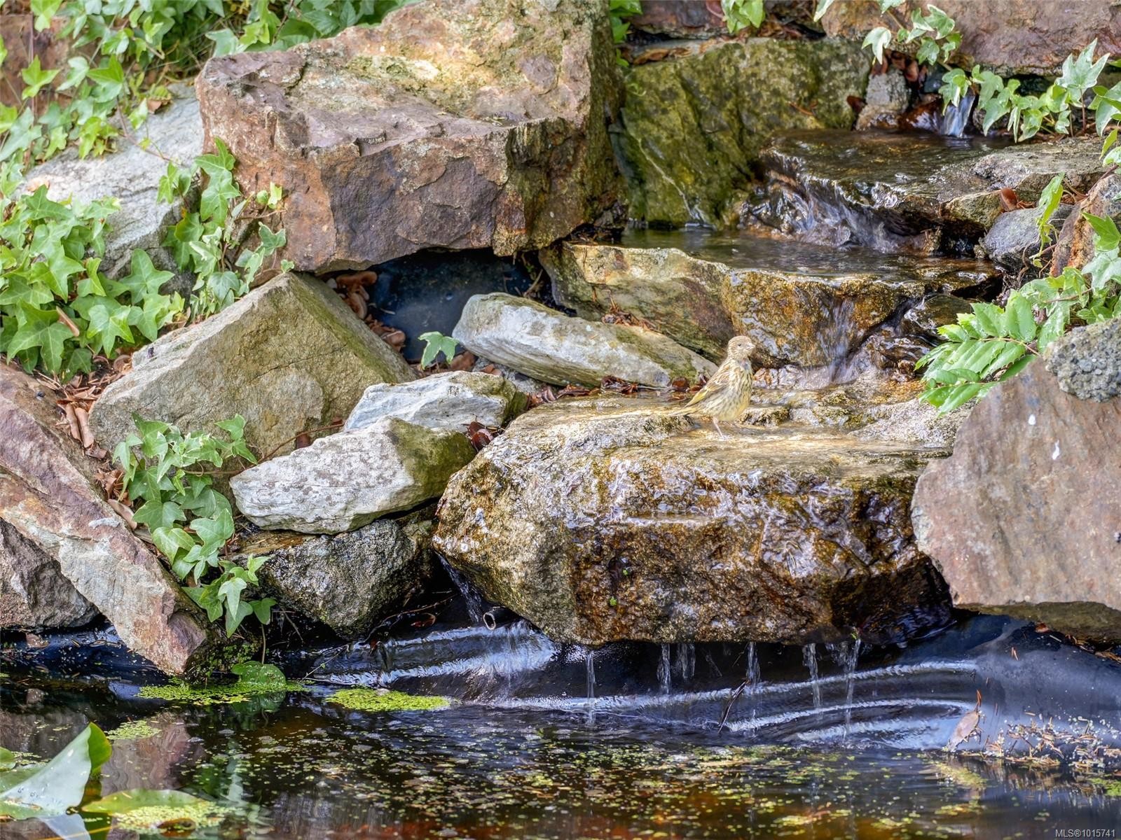 4590 Torquay Dr, Saanich, BC