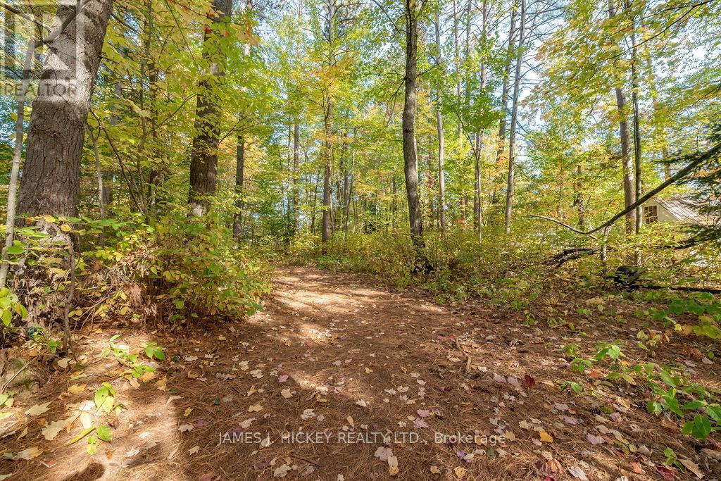 13 Thomson Crescent, Deep River, ON - Outdoor With View