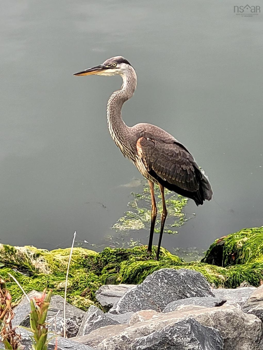 305 220 Waterfront Drive, Bedford, NS