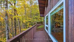 A picturesque deck in the forest -