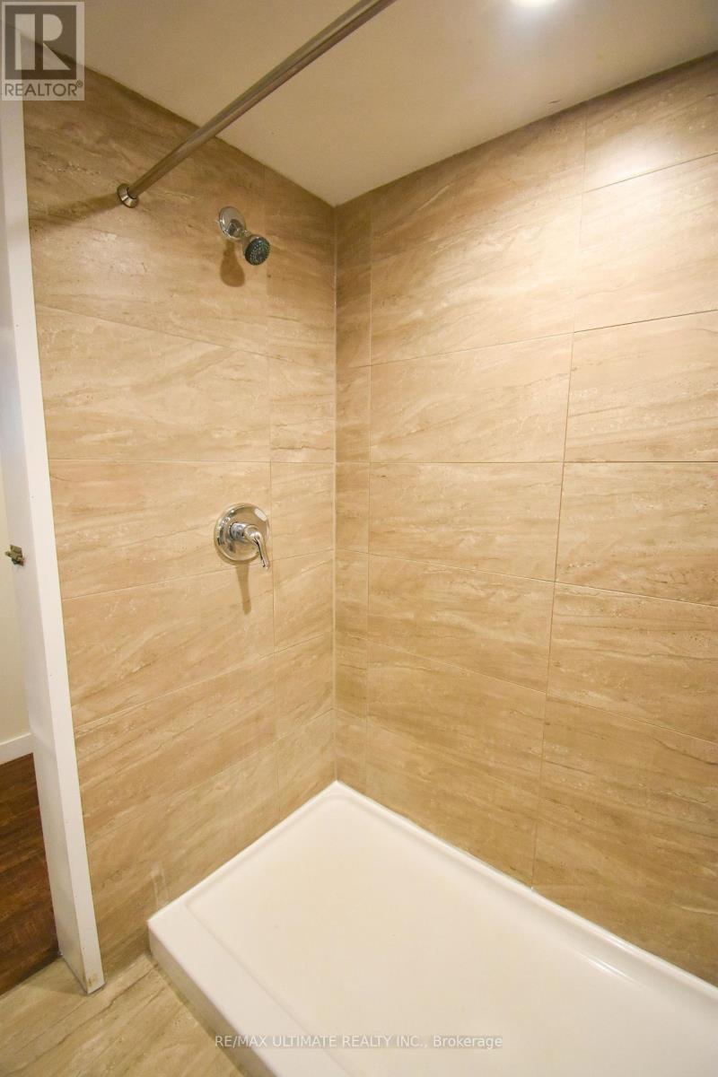 B - 205 Innisfil Street, Barrie, ON - Indoor Photo Showing Bathroom