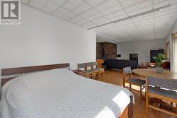 Lower level family w adjacent den area -