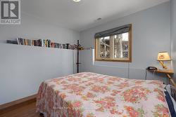 4th bedroom/Guest room Lower level -