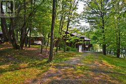Gorgeous treed lot -