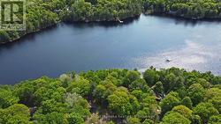 Nestled on 2/3 acre treed lot -