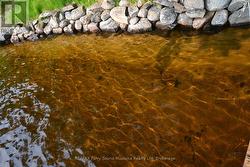 Gentle entry at water's edge -