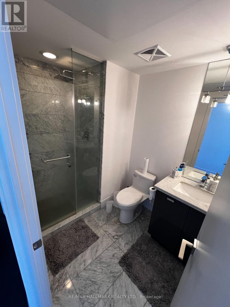 Insuit WC - 2003 - 32 Davenport Road, Toronto, ON - Indoor Photo Showing Bathroom